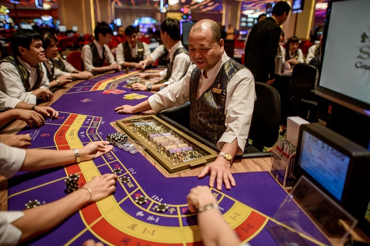 Training Amateur Gambler - 952171