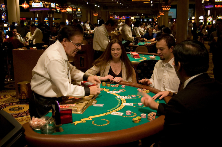 Training Amateur Gambler - 426729