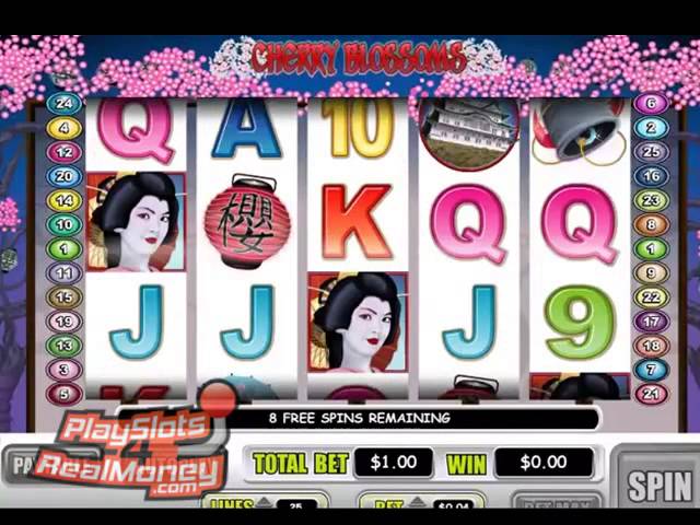 Bingo Real Money - 938049