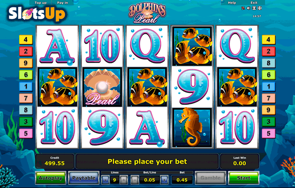 Dolphin Cash Slot - 602616