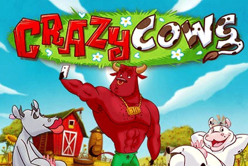 Crazy Cows Slot - 227889