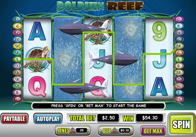 Dolphin Reef - 848917