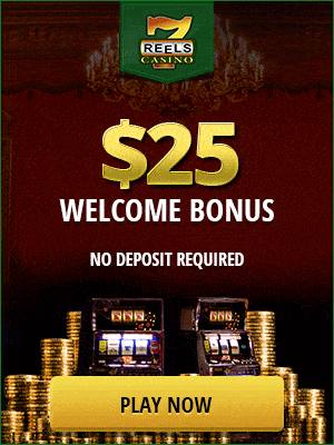 Gay Friendly Casino - 312918