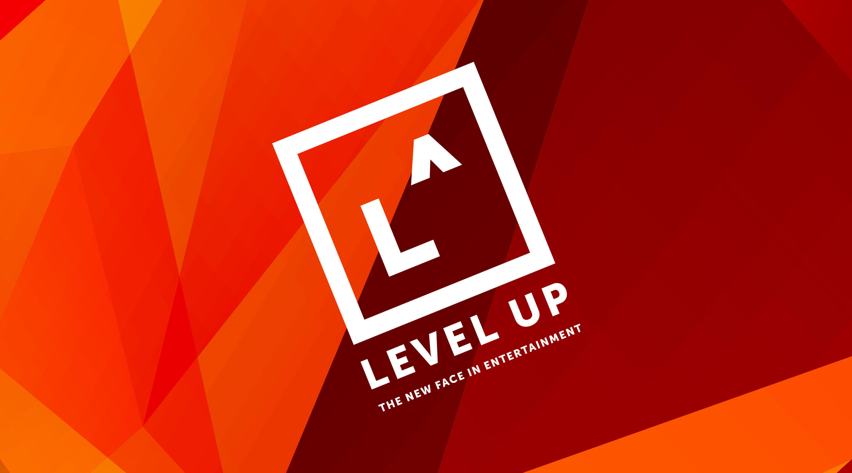 Level Up Profile - 563703