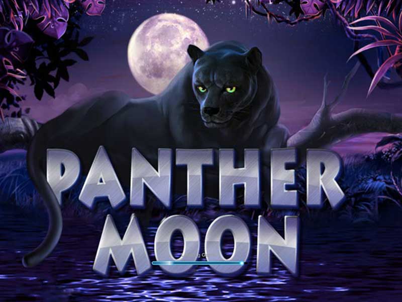 Panther Moon - 961176